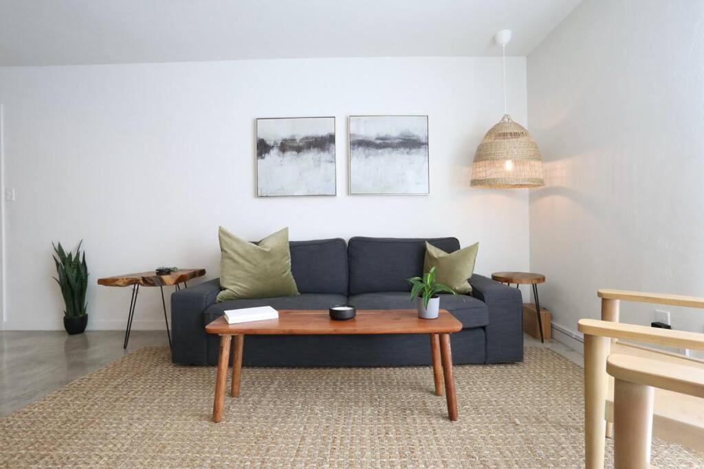 Concrete Suite 5 Min Walk To Shands Uf 게인즈빌 외부 사진